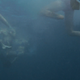 Image for article titled It's Cop Versus Shark in Jaws—Who's the Monster Now?
